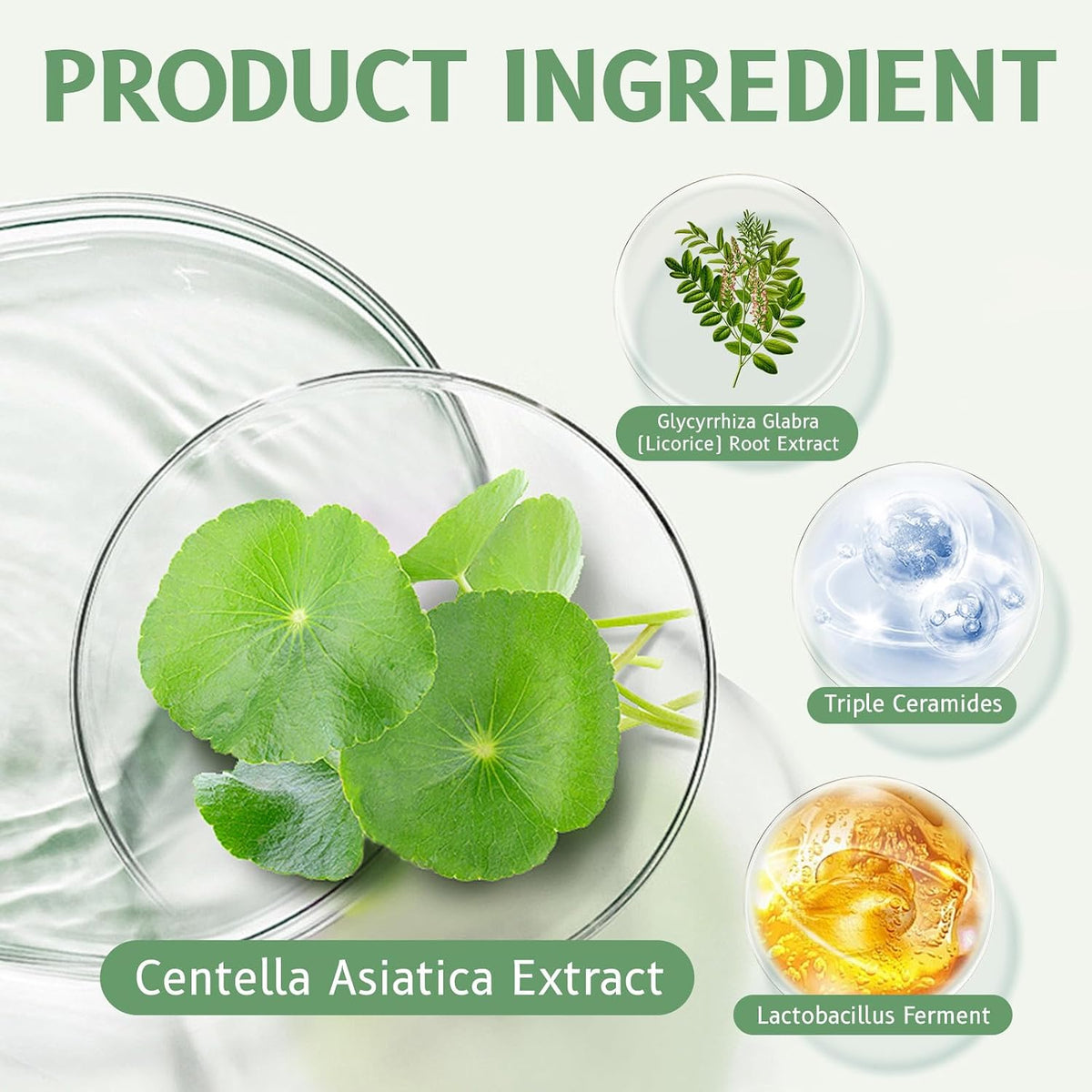 Centella Asiatica Cream for Sensitive Skin, 85% Natural Moisturizer, Intensive Hydration & Repair, 50g - ECOLOOM LLCCentella Asiatica Cream for Sensitive Skin, 85% Natural Moisturizer, Intensive Hydration & Repair, 50gECOLOOM LLCECOLOOM LLC
